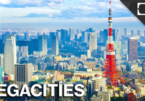 Understanding Megacities: Exploring the Differences .